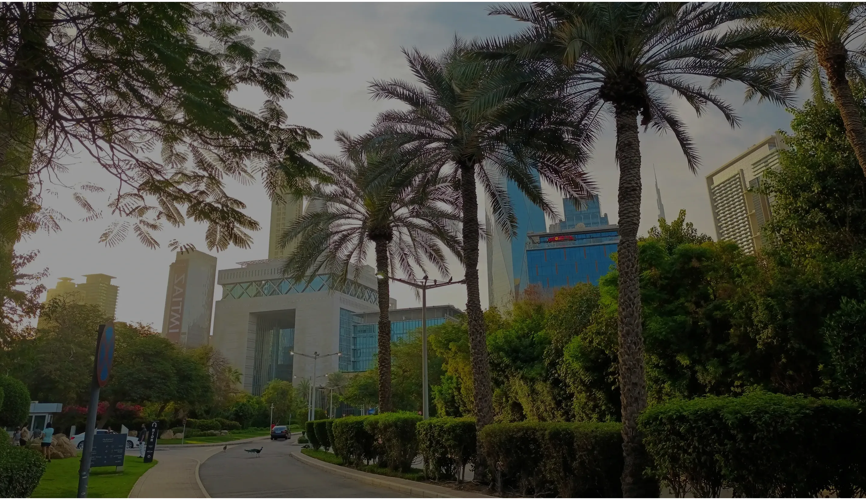 contact-banner-difc-building